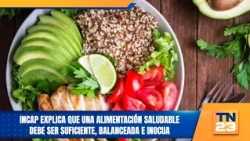 INCAP explains that a healthy diet must be sufficient, balanced, and safe