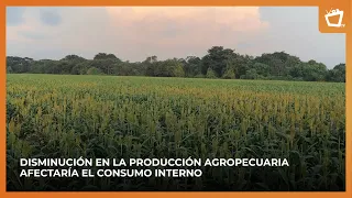 Agricultural exports could be affected by El Niño