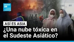 Indonesia: humo tóxico, corrupción y protestas por los incendios • FRANCE 24 Español
