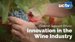 Federal Support Drives Innovation in the Wine Industry