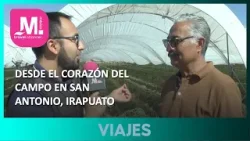 DESDE EL CORAZÓN DEL CAMPO EN SAN ANTONIO, IRAPUATO