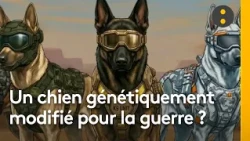 United States: Genetically enhanced dogs to assist the U.S. Army