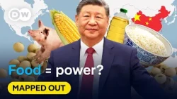 China's plan to never run out of food | Mapped Out