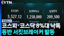 코스피·코스닥 8%대 낙폭...동반 서킷브레이커 발동 / YTN