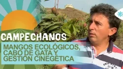 Campechanos | Mangos ecológicos, conservación de Cabo de Gata, gestión cinegética y  quesos.