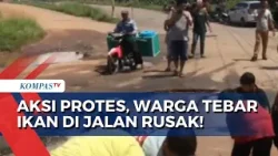 Jalan Rusak 20 Tahun Terakhir, Warga Lampung Timur Tebar Ikan di Kubangan sebagai Aksi Protes