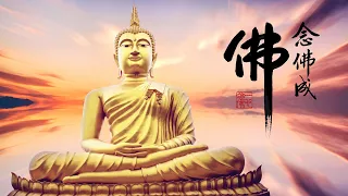 淨空老法師｜念佛成佛｜什麼時候回到極樂世界？聽佛安排-第2058集