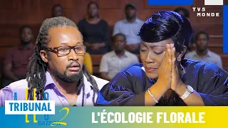ALLÔ TRIBUNAL : L'écologie florale | Série Comédie 🇨🇮 | S2EP30