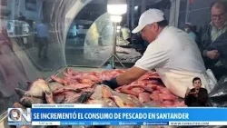 Santander: aumento de ingreso de pescado a la Central de Abastos y manatíes en temporada de apareami