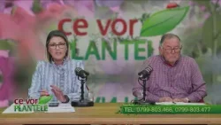 Cum aplicam Flora Start Cristina Ghibu si Horia Ghibu