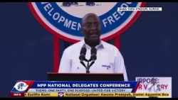 NPP National Executives Elections