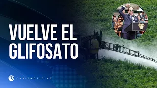Glyphosate: De la Espriella opens the door to aerial spraying of illicit crops