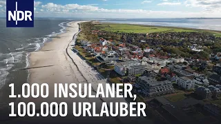 Wangerooge: Camping, Kühe und Saisontrubel | die nordstory | NDR Doku