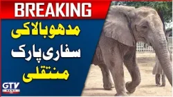 Elephant Madhubala's Safari Park Transfer Preparation Complete | Breaking News