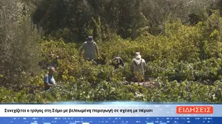 ΔΕΛΤΙΟ ΕΙΔΗΣΕΩΝ ΤΗΣ ΣΑΜΙΑΚΗΣ ΤΗΛΕΟΡΑΣΗΣ 11-09-26