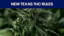 В Техасе действуют новые правила и положения по содержанию ТГК (тетрагидроканнабинола) с 31 марта...