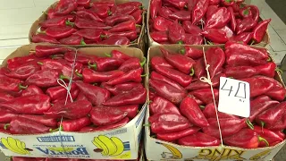 Мицкоски: „земјоделците не сакаа да протестираат кај откупувачите на пиперки“