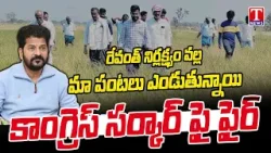 Special Report on Congress Govt Negligence No Water For Cultivation | Farmers Fires On Revanth