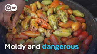 Why millions in Nigeria are risking their health to eat, as food costs soar | DW News