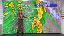 Прогноз AccuWeather: местами кратковременные дожди утром; к вечеру гроза усилится до 2-го уровня.