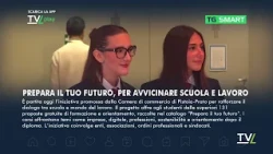 TG Smart