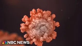 What a biological warfare attack could look like