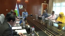 Le président reçoit une délégation chinoise de Green Industry Consortium