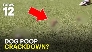 NYC passes dog poop cleanup bill. Will it actually work?