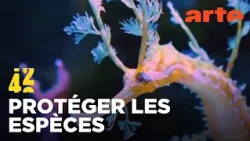 Comment enrayer l’extinction des espèces ? | 42 - La réponse à presque tout | ARTE