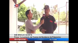 Promar TV