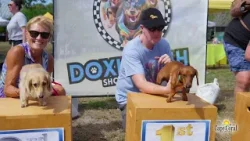 Doxie Dash and Tortise Trot 2026