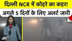 Delhi NCR Fog News: दिल्ली NCR में कोहरे का कहर! | Delhi Fog | Delhi Weather Updates | Hindi News