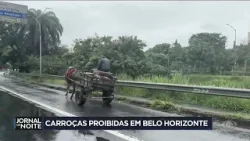 Carroças serão proibidas em Belo Horizonte (MG)