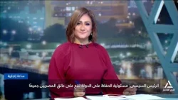 الرئيس السيسى: مسئولية الحفاظ على الدولة تقع على عاتق المصريين جميعا | ساعة إخبارية