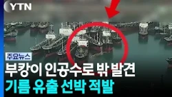 부캉이, 이틀째 항구 근처에서 관찰...기름 유출 유조선 적발 / YTN