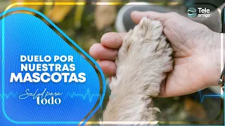 GRIEF for our PETS - Health for Everyone
