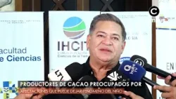Productores de cacao alertan sobre impacto del Fenómeno del Niño en 2026 Productores de cacao alertan sobre impacto del Fenómeno del Niño en 2026