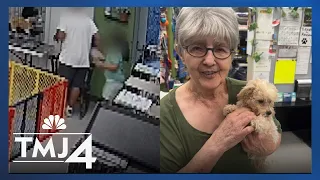 Stolen 12-week-old puppy returned to pet store