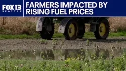Рост цен на топливо ударил по фермерам штата Вашингтон на фоне глобальной напряженности | FOX 13 ...