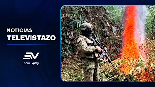Pacto: Military destroys 20,000 coca plants northwest of Quito | Televistazo Ecuavisa