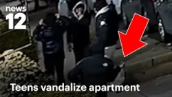 Ветка, брошенная в окно квартиры в Нью-Йорке, ранила 6-летнего мальчика.