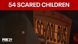 PA school bus driver drunk, high with 54 students onboard: officials