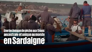 In Sardinia, discovering an ancient tuna fishing technique