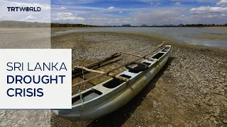 Sri Lanka faces severe drought as wells run dry
