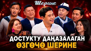 Достукту даңазалаган өзгөчө "ШЕРИНЕ" долбоору