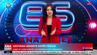 Hayvana şiddete hapis cezası!