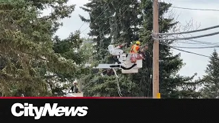 Botched copper wire theft in Calgary prompts Rogers outage