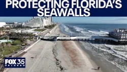 Florida's seawall permitting gets a 'C' in new study