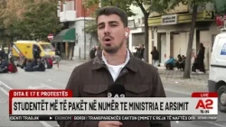 Studentët të paktë në numër në protestën te Parlamenti dhe te Ministria e Arsimit në ditën e 17