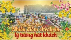 Nhiều điểm check-in lý tưởng hút khách Nhiều điểm check-in lý tưởng hút khách